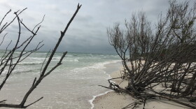 Honeymoon Island beach