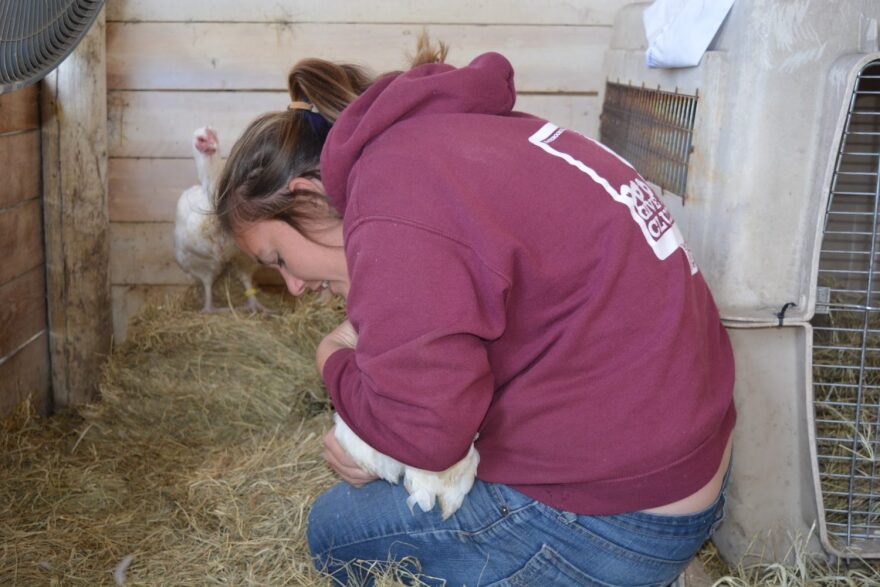 Logan holding a chicken that was rescued.