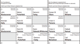 A cropped image of a sample ballot showing all candidates for Schenectady city council