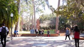 University of Florida campus