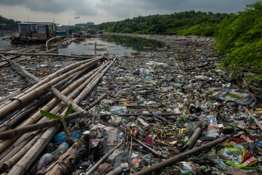 Freedom Island is typical of so many islands in Southeast Asia that become magnets for floating trash.