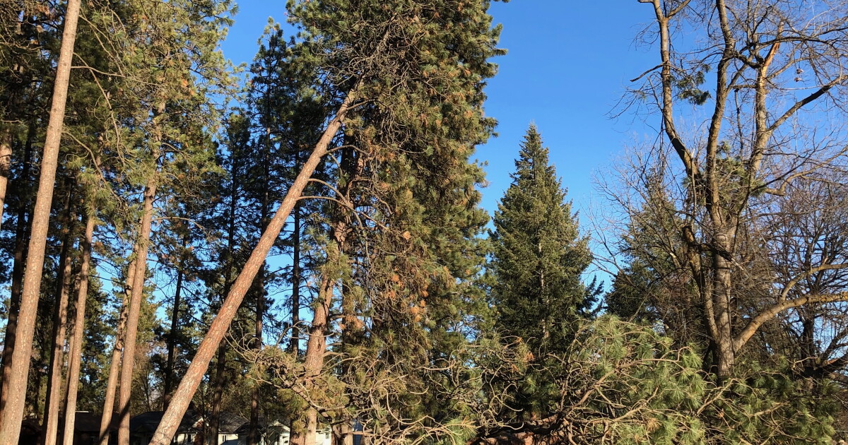 UPDATED: Tens of thousands of Inland NW residents still without power