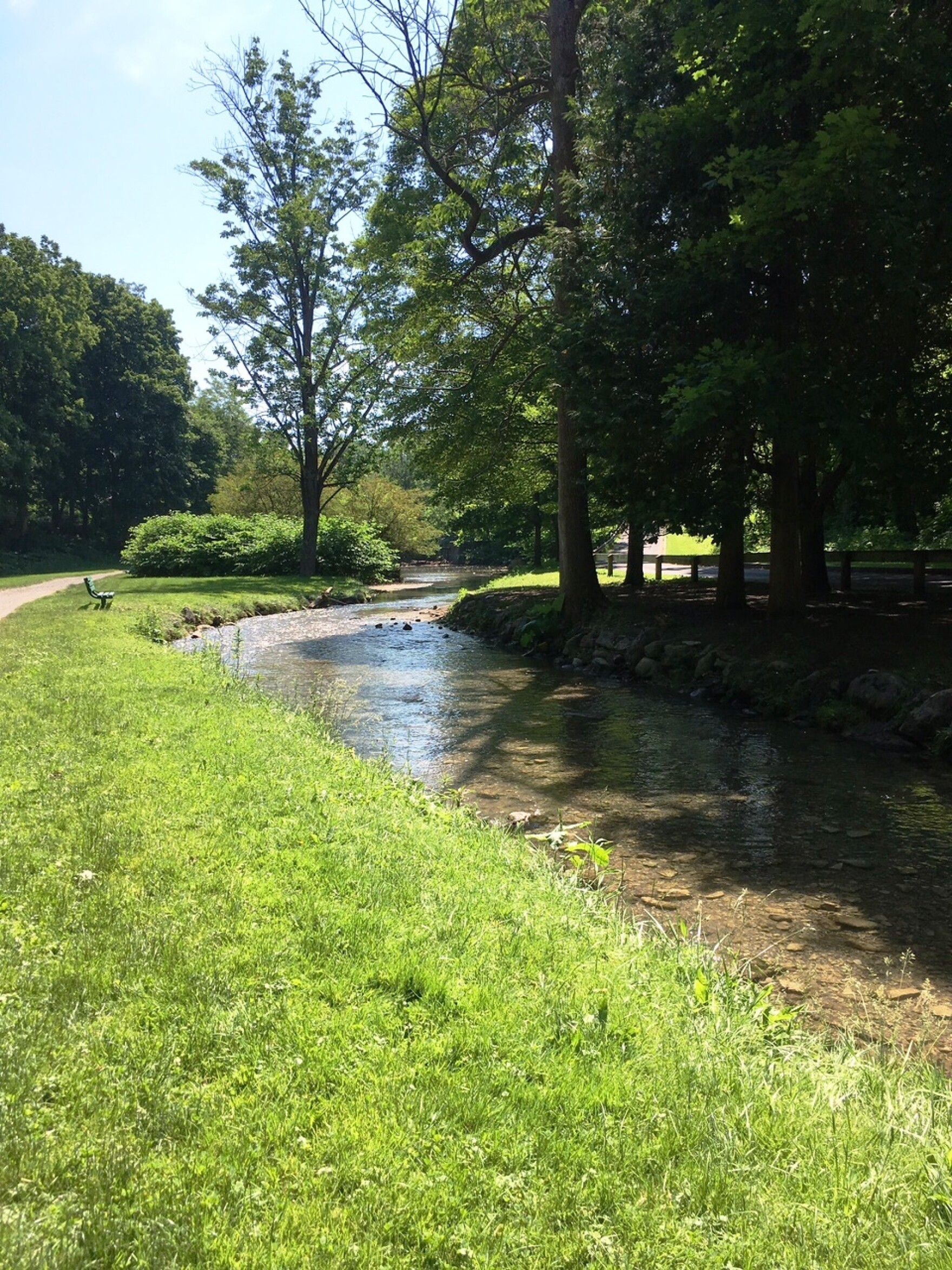 Syracuse Parks Dept. at 100; "The Grand Canyon of Syracuse" Hides in