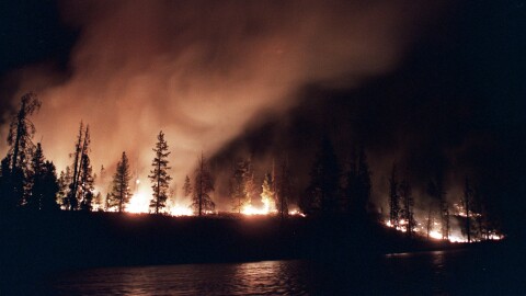 In this Sept. 2, 1988, file photo, a forest fire blazes out of control near West Yellowstone in Yellowstone National Park, Mont. Fire managers in Yellowstone National Park are curious to find out why wildfires are burning so actively in the summer of 2016, in areas that burned back in 1988. The park has called in a special federal team that studies fire behavior.