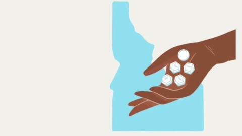 A graphic of the outline of Idaho, with a hand holding pills in front of it