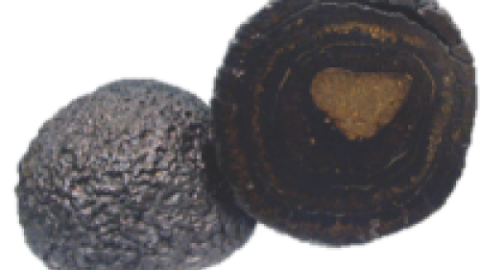 Polymetallic nodules found on the seabed floor contain nickel, copper, cobalt, manganese, rare earth elements, and possibly titanium, tellurium and lithium.