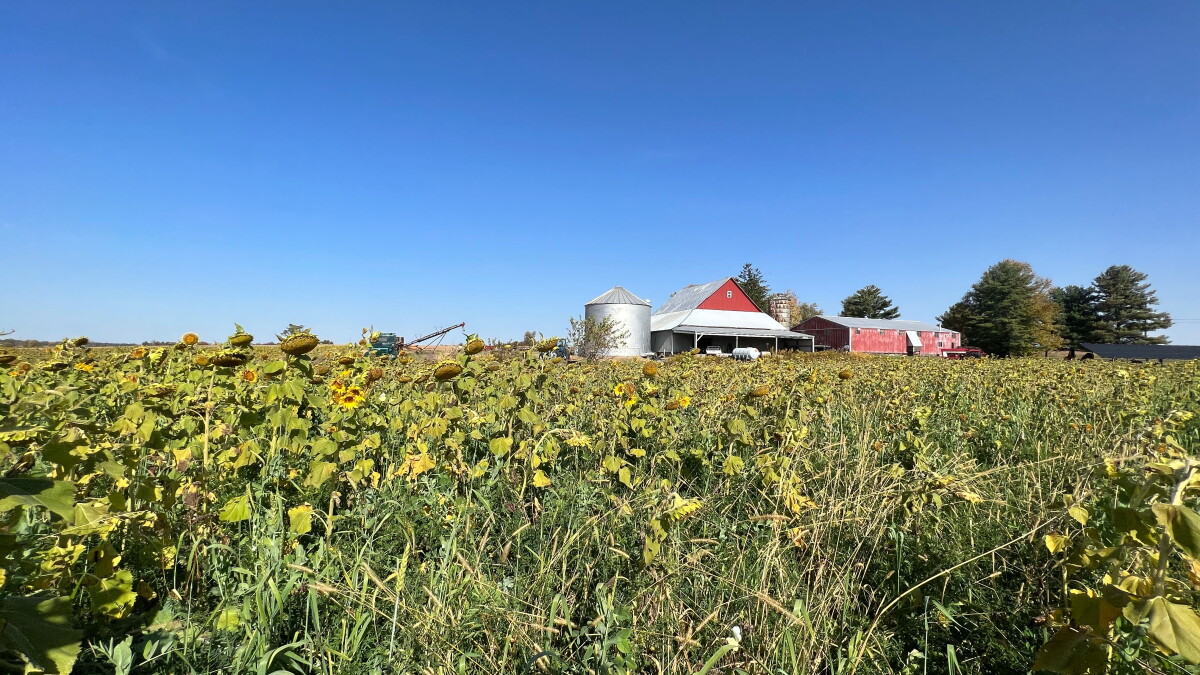 BIPOC Farming Network in Ohio gains independence, empowers marginalized farmers - Vimarsana News