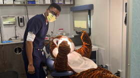 A dental professional wearing scrubs, a mask and protective glasses examines a person in a tiger mascot costume seated in a dental chair.