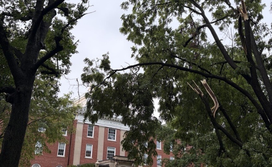Tree damage on the Illinois State quad and nearby flooding have disrupted move-in day at the university. Students scheduled to move in on Thursday afternoon have been contacted by email.