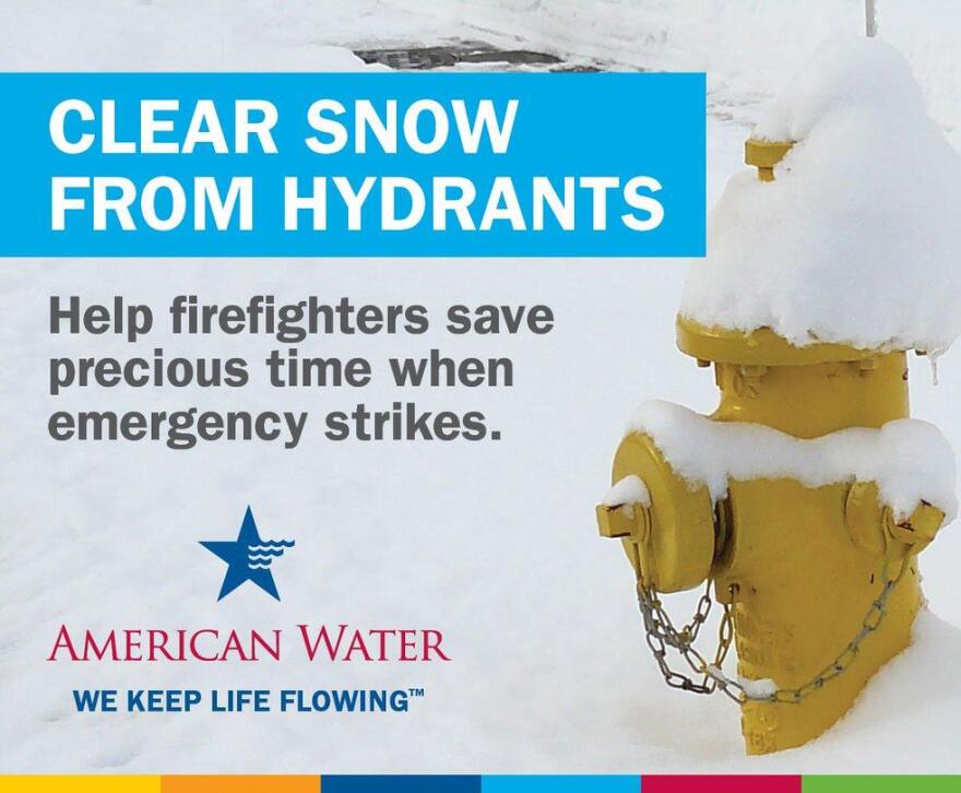 clear_snow_from_hydrants_image.jpg