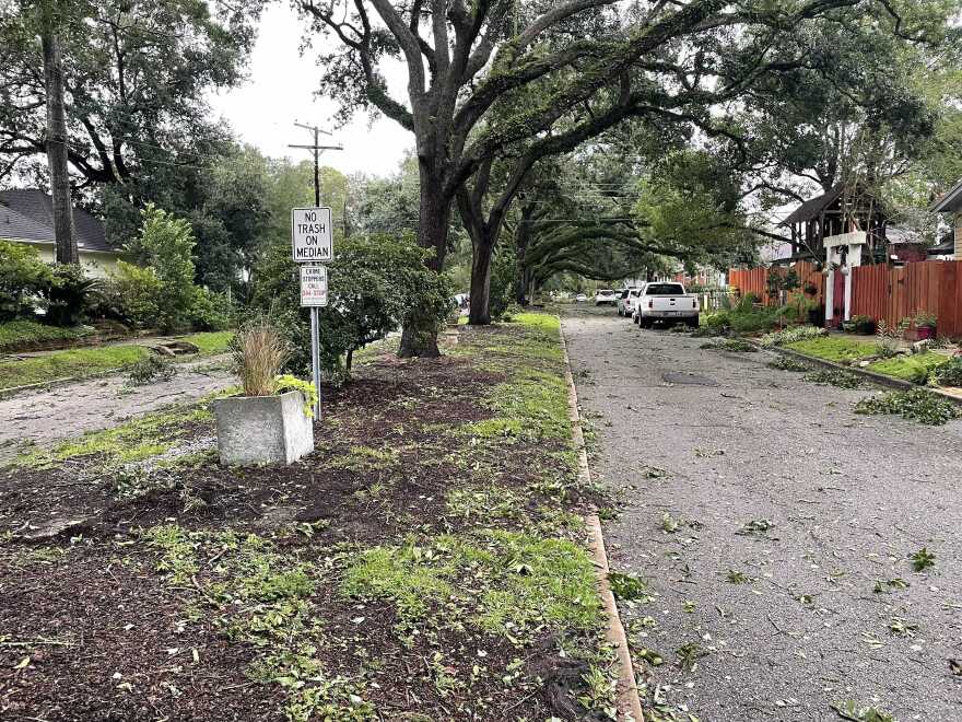 Downed limbs litter Park Boulevard in Baton Rouge the morning after Hurricane Ida. August 30, 2021.