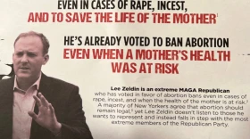 Democrats in New York are sending this mailer to some independent voters, characterizing the Republican candidate for governor, Long Island Rep. Lee Zeldin, as extreme. (Karen DeWitt / New York State Public Radio)