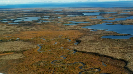 Kaskanak Creek in the Bristol Bay’s Kvichak watershed is seen from the air on Sept. 27, 2011. The Kvichak watershed would be damaged by the Pebble mine project, the Environmental Protection Agency has determined.