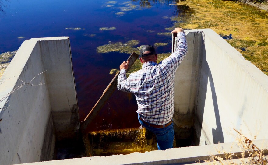 A man stands in the water with his back to the viewer, lifting a board to let more water out.