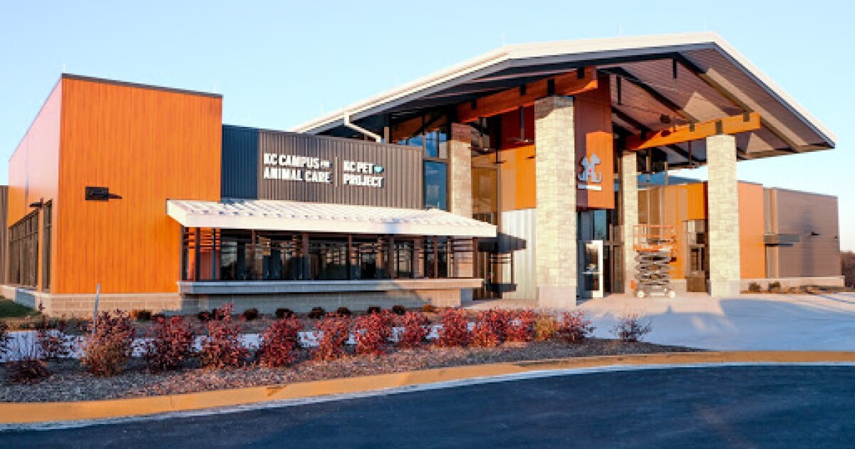 Kc Pet Project Leaving Its Crowded Noisy House Behind When New