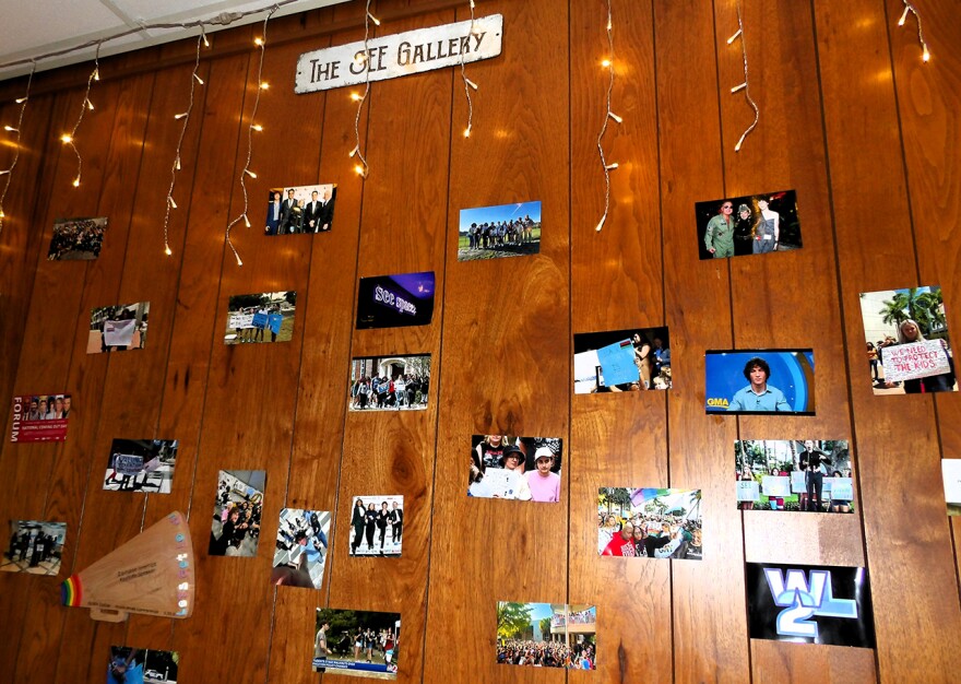 Assorted snapshots assembled on a paneled wall