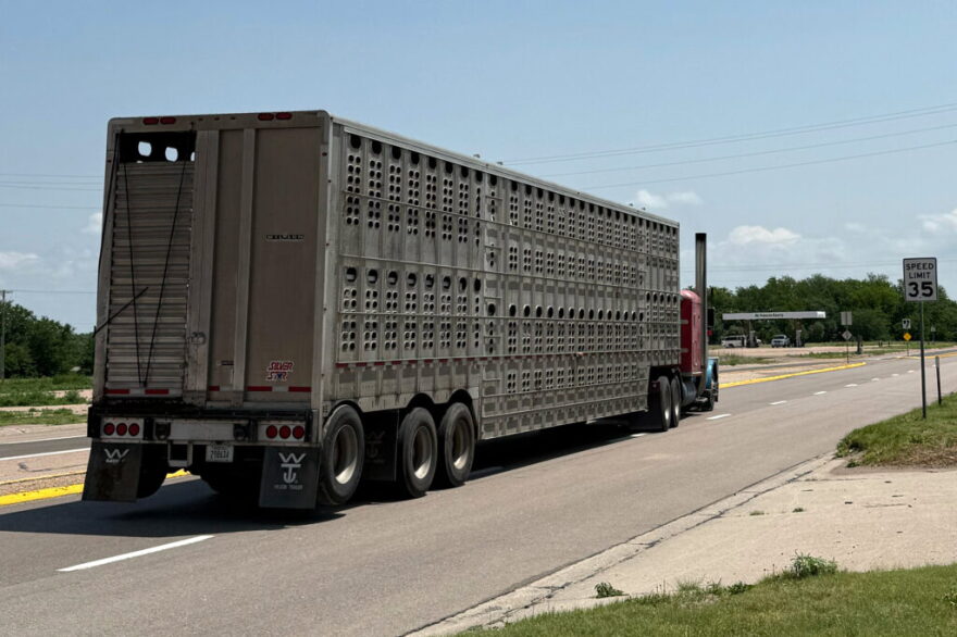 A livestock hauling tractor trailer drives along a road marked by a 35 mile-per-hour speed limit sign.