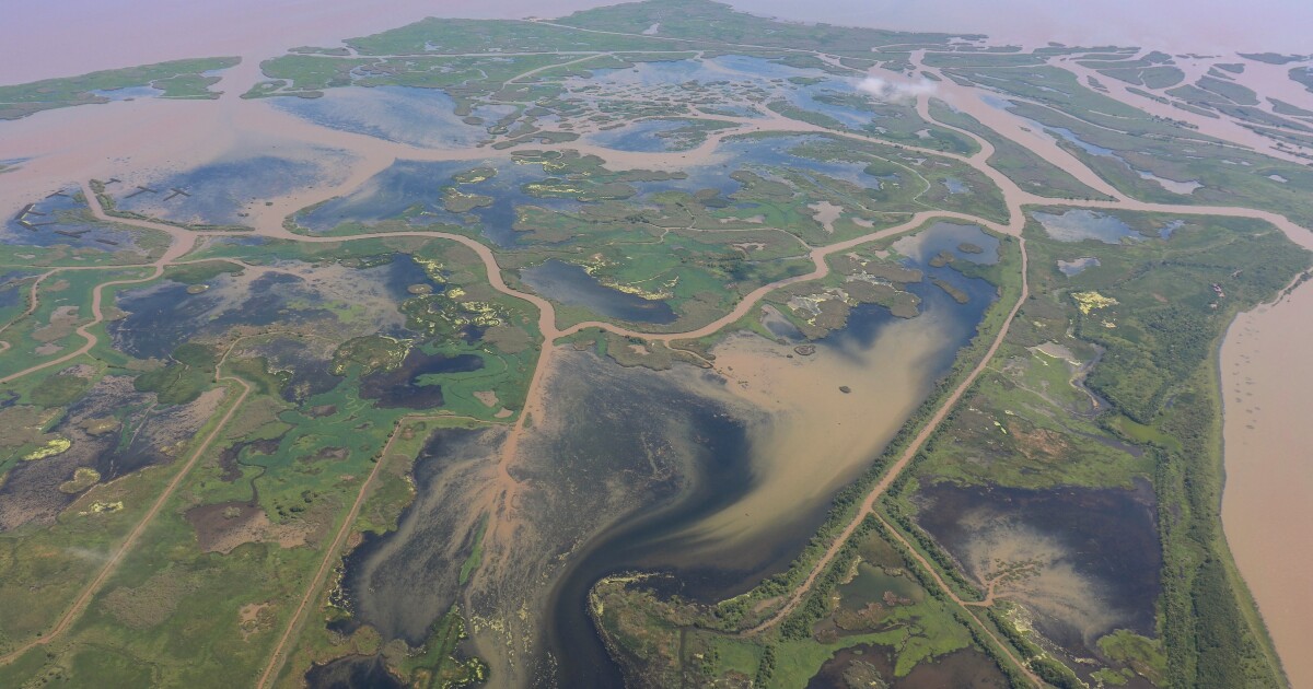Louisiana bears the burden of upstream runoff. Why doesn’t it push for solutions?