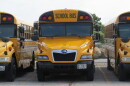 A line of school buses