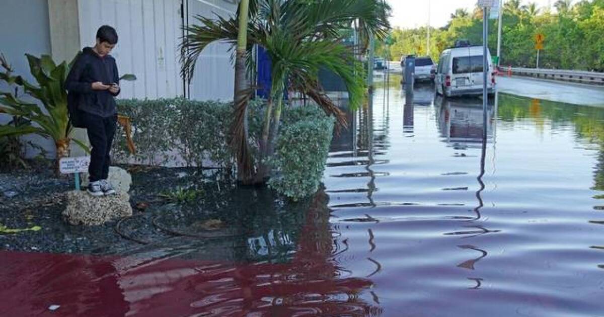 New Sea Level Rise Projections For Southeast Florida Higher And Faster Wlrn