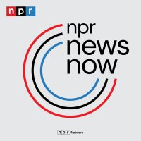 NPR News now logo