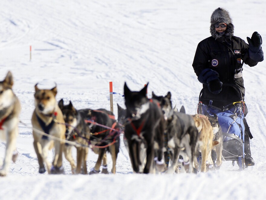 Mackey, shown racing in the 2009 Iditarod, has won four Yukon Quest races and a record-breaking four consecutive Iditarods. In 2007 and 2008, he won the Yukon Quest and Iditarod back-to-back.
