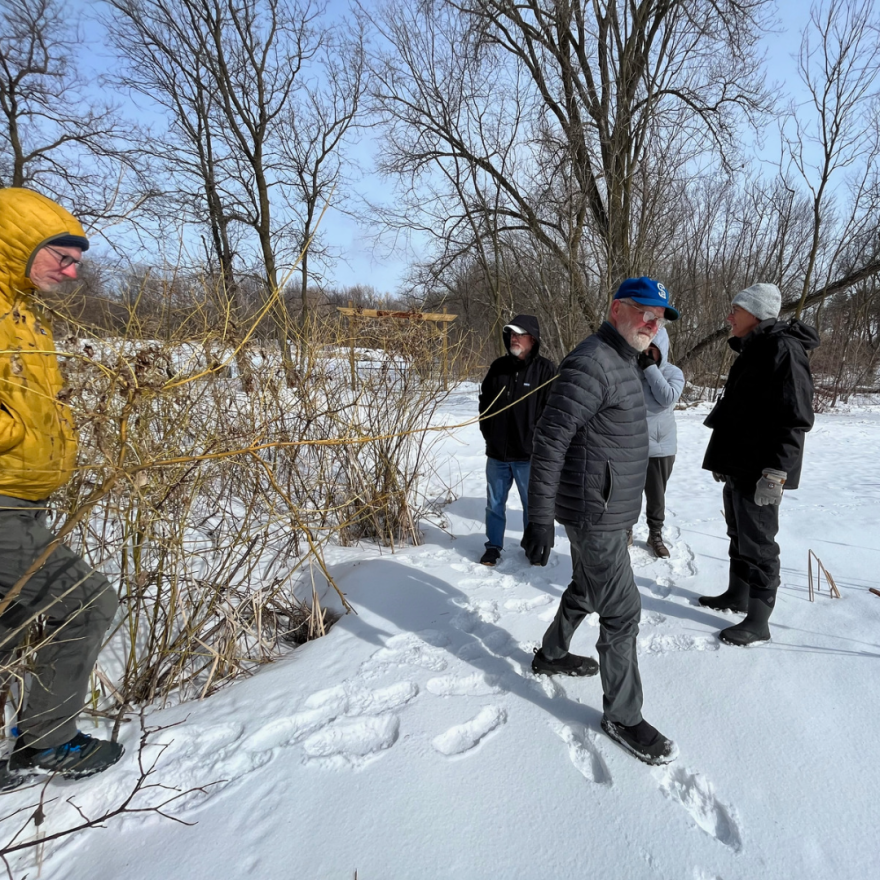 Five people stand in an open area near some bright-yellow shrubs. They are all bundled against the cold and leave tracks in the snow.
