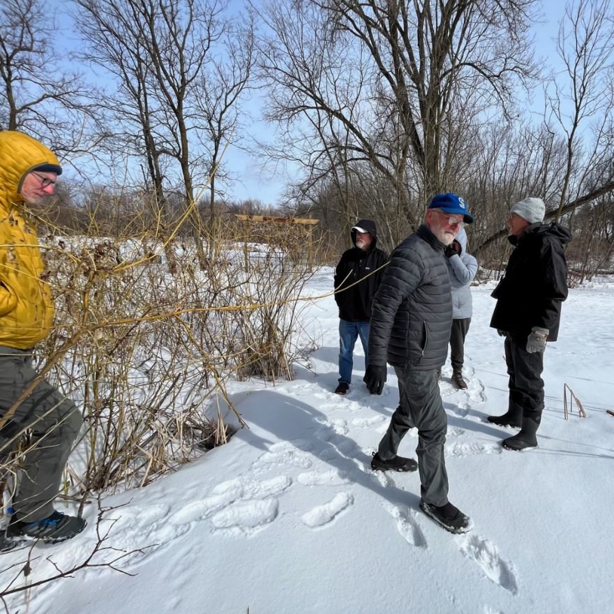 Five people stand in an open area near some bright-yellow shrubs. They are all bundled against the cold and leave tracks in the snow. 