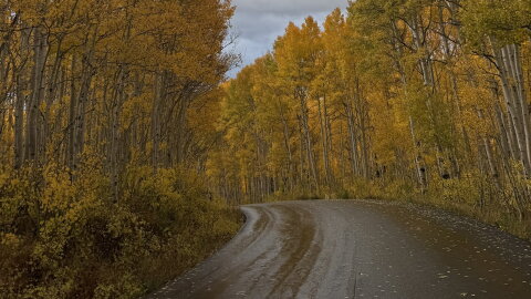 Guardsman Pass closed Saturday, Oct. 4, due to weather conditions.