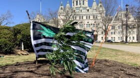 A cannabis plant and flag bearing marijuana leaves outside the state Capitol on Tuesday, March 22, 2022.