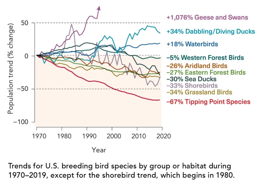 Geese and swan populations have reached near historic population highs due to successful adaptation to agricultural and urban landscapes, according to the report.