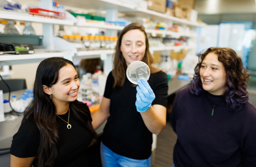 Cal Poly Professor Katharine Watts and her research students doing studies with ancient bacteria which may help advance the development of new generation antibiotics.