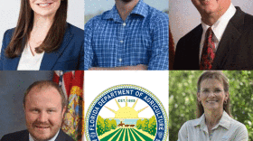 Florida Commissioner of Ag candidates: On top, Democrats Nikki Fried, Roy David Walker and Jeffery Porter. Bottom: Republicans Matt Caldwell and Denise Grimsley. Republicans Mike McCalister and Baxter Troutman were unable to participate in the interview.