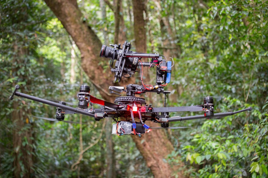 A camera drone provides a birds-eye view of the jungle.