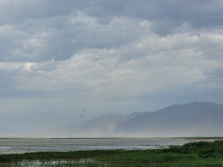 A large cloud of orange dust blows across a wetland. Large mountains are in the background.