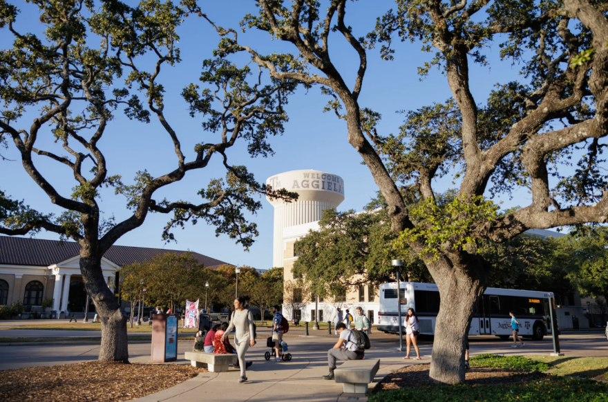 Students wait at a bus stop on the Texas A&M University campus in College Station, on Nov. 12, 2025.