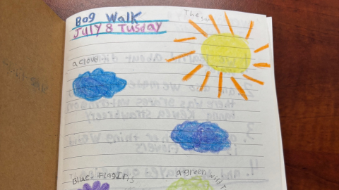 A kid's illustration shows a sun, clouds, blue flag iris, and a green wild tree.
