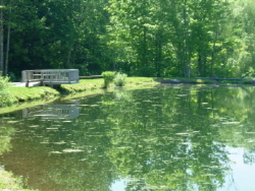 A view of the Lower Birch Creek Road Parcel and accessible fishing platform