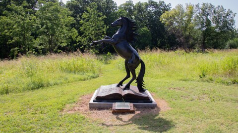 A statue of Anna Sewell's Black Beauty stands at the edge of the Botanic Garden.