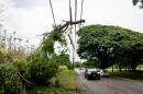 A large tree branch is draped over power lines in Haleʻiwa after Lala passed south of Oʻahu, Sunday, Aug. 16, 2026. (Craig Fujii/Honolulu Civil Beat via AP)