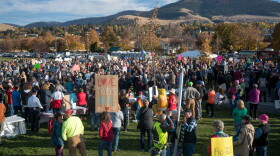 The Crowd at Missoula's Playfair Park Thursday