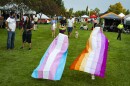 Two attendees of Boise Pride walk on the grass of Ann Morrison Park. One is wearing a Trans flag as a cape (Blue, pink, white) while the other is wearing a lesbian flag as a cape (pink, orange, yellow). 