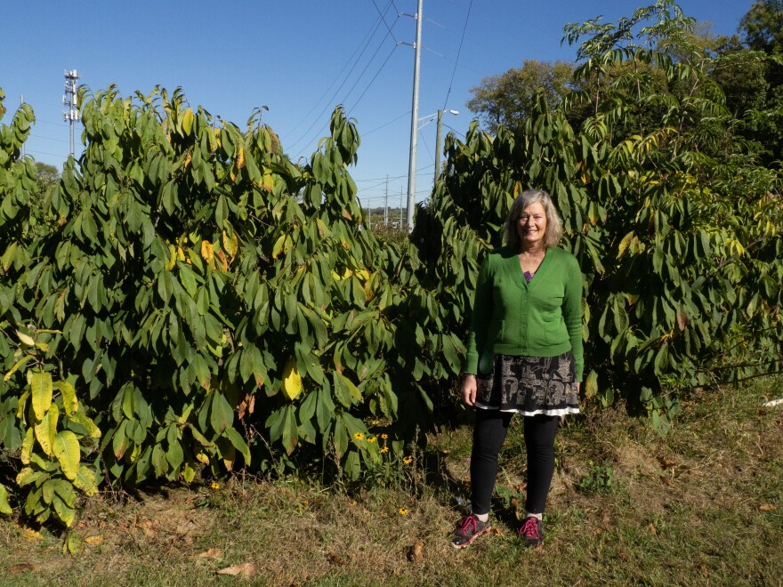 Sue Spaid at Pawpaw Circle.