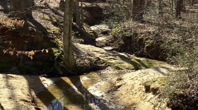 A stream meanders through Jack Warren Park in Lewisville. PAUL GARBER/WFDD