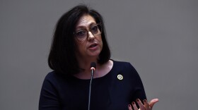 FRANKFORT, Feb. 22 – House Minority Caucus Chair Cherlynn Stevenson, D-Lexington, speaks on House Bill 255, an act related to employment of minors, on the House floor in 2024.