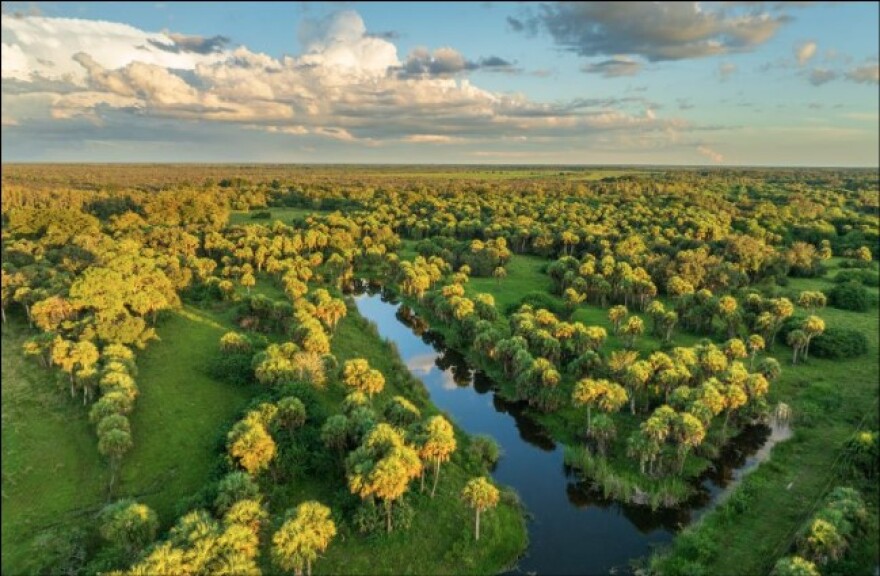 More than ten thousand acres have been added to the Florida Wildlife Corridor in Collier and Hendry counties since March, including this property