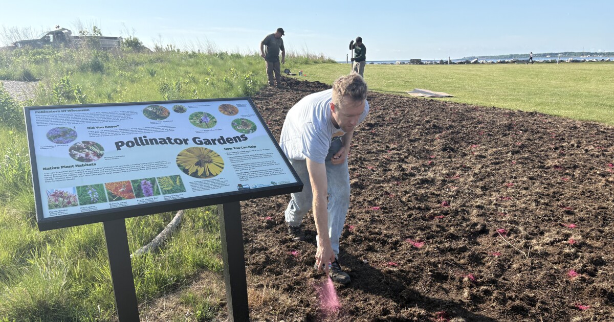 Monarch butterfly initiative takes root at Lakeshore State Park
