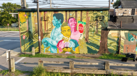 Enjoy a one day long mural, music and dance festival in the “tree streets” in Nashua this weekend with ArtCity.