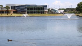 Bedford Boys Ranch Lake is home to a variety of fish, reptiles and waterfowl. July 2, 2026.
