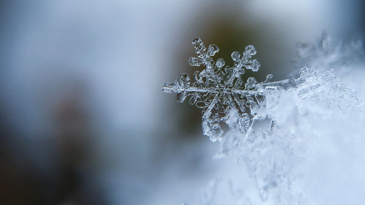Is a white Christmas in Florida possible this year? - Vimarsana News